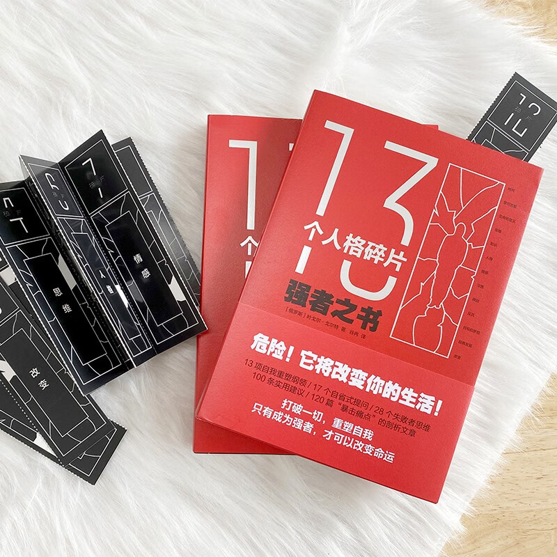 13个人格碎片：强者之书（危险！本书将改变你的生活）