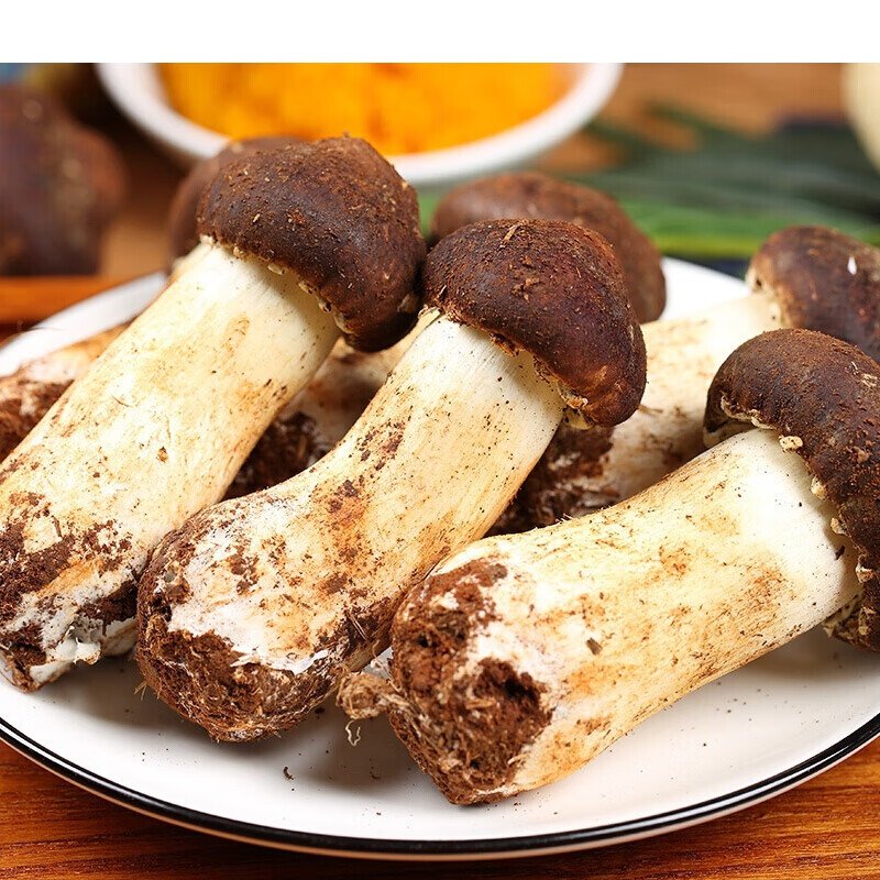 味巴哥姬松茸巴西菇姫松茸云南特产仿松茸菌鲜赤松茸蘑菇500g 姬松茸