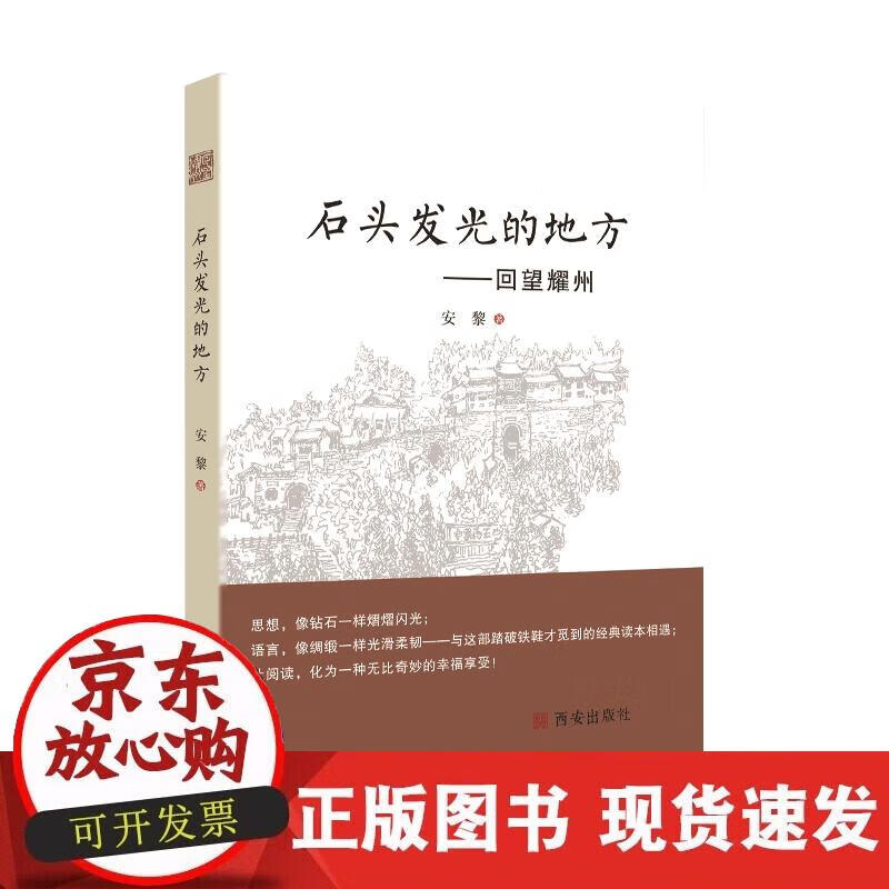 【正版现货】石头发光的地方