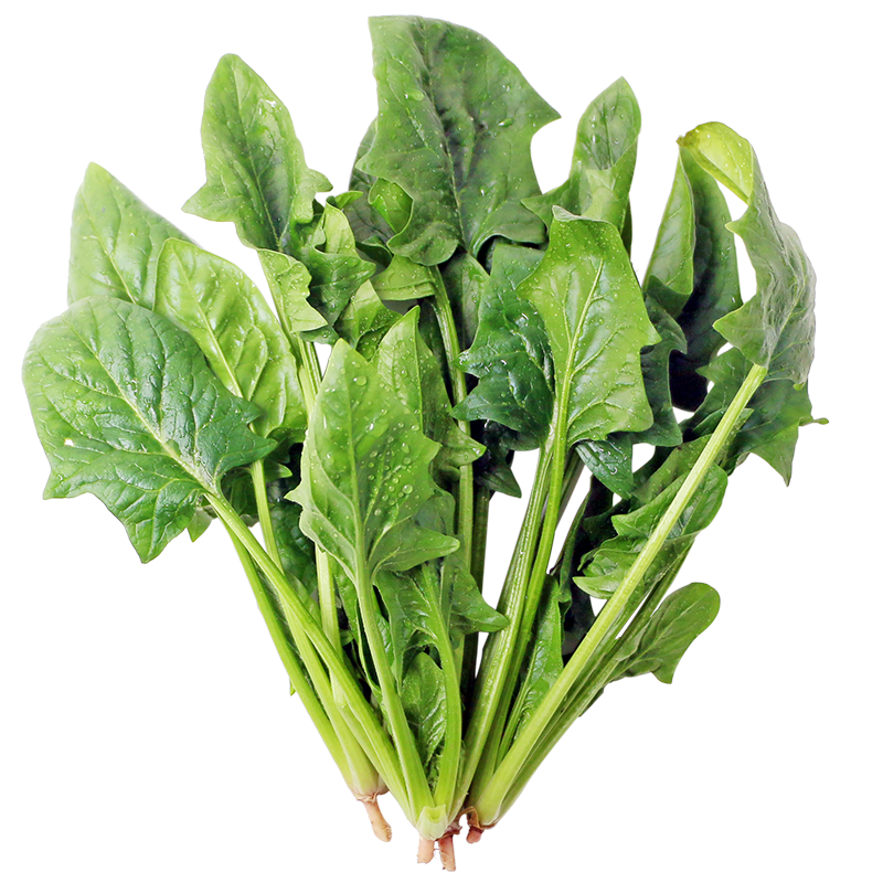 十年内价格猛涨的必备物品！气密性超出想象的KeepFresh保鲜盒|叶菜类低价历史查询