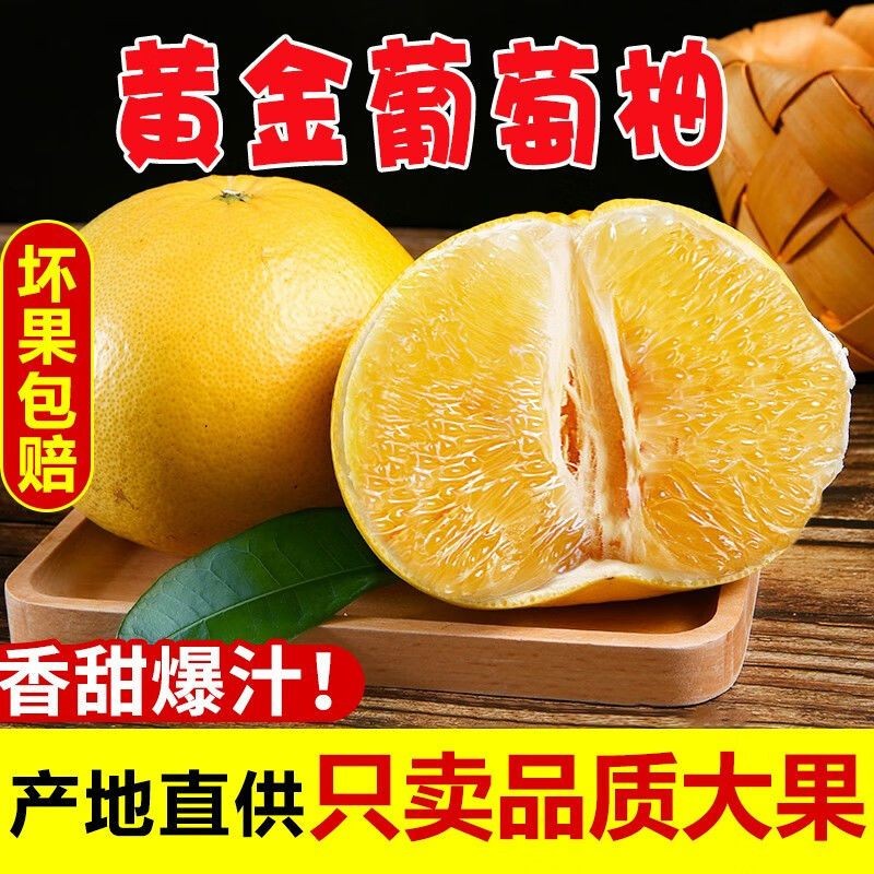 土八鲜黄金葡萄柚 福建青皮柚子新鲜水果 台湾品种纯甜爆汁 8.5-9斤（单果300g起）