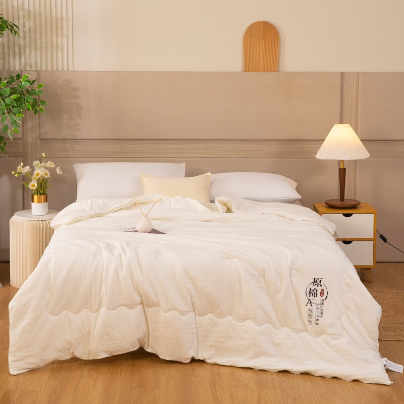 棉梦居 羽绒棉被芯加厚保暖8斤10斤冬被子单人1.