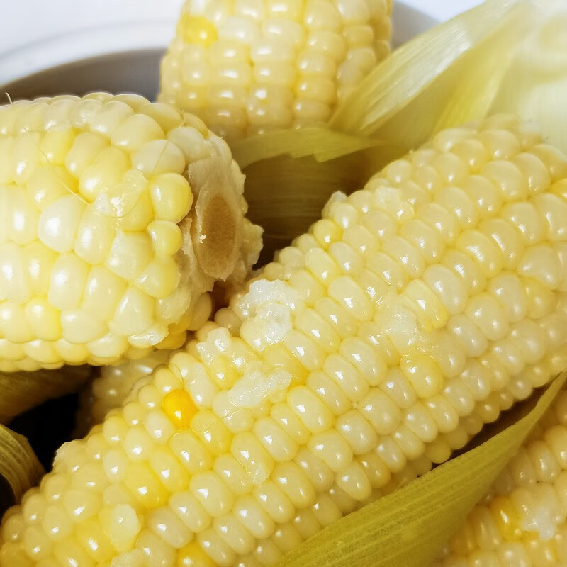 静益乐源甜香白玉米棒 玉米穗粒 新鲜蔬菜 真空包装 200g*10根