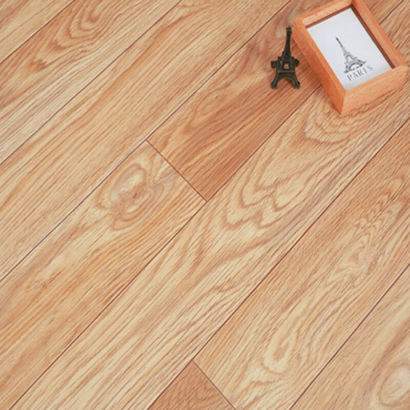 耐磨防水家用pvc复合自粘地板贴水泥地面直接铺垫新疆 标准款黄榆木纹