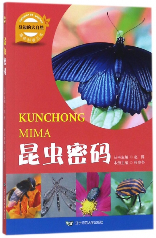 昆虫密码/身边的大自然趣味科普丛书