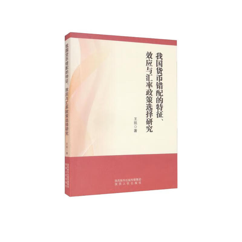 我国货币错配的特征、效应与汇率政策选择研究