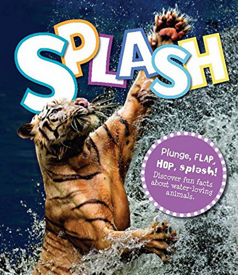 Splash