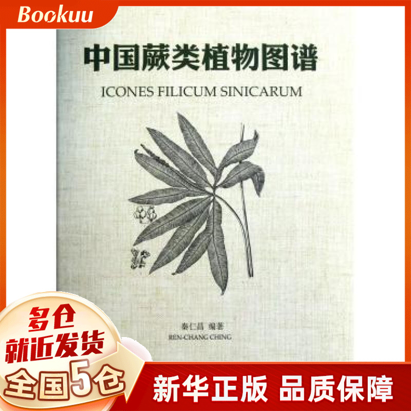 中国蕨类植物图谱(精)