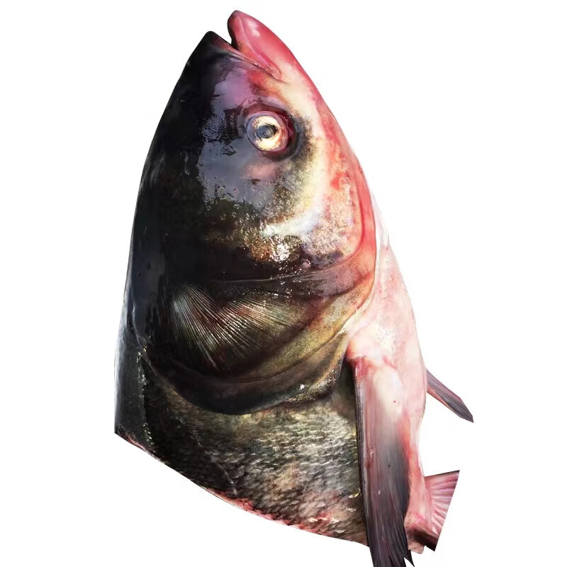 皓谦安峰山鱼头花鲢白鲢剁椒鱼头现杀新鲜大鱼头食材大头鱼鲢鳙淡水鱼