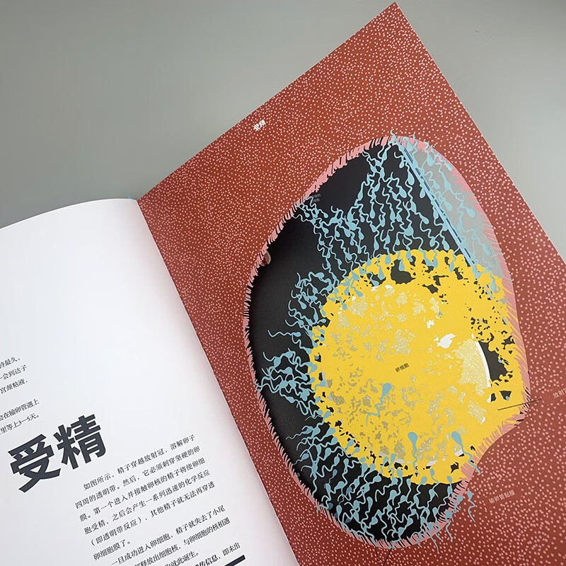 出生：在我们来到这世界之前详情图