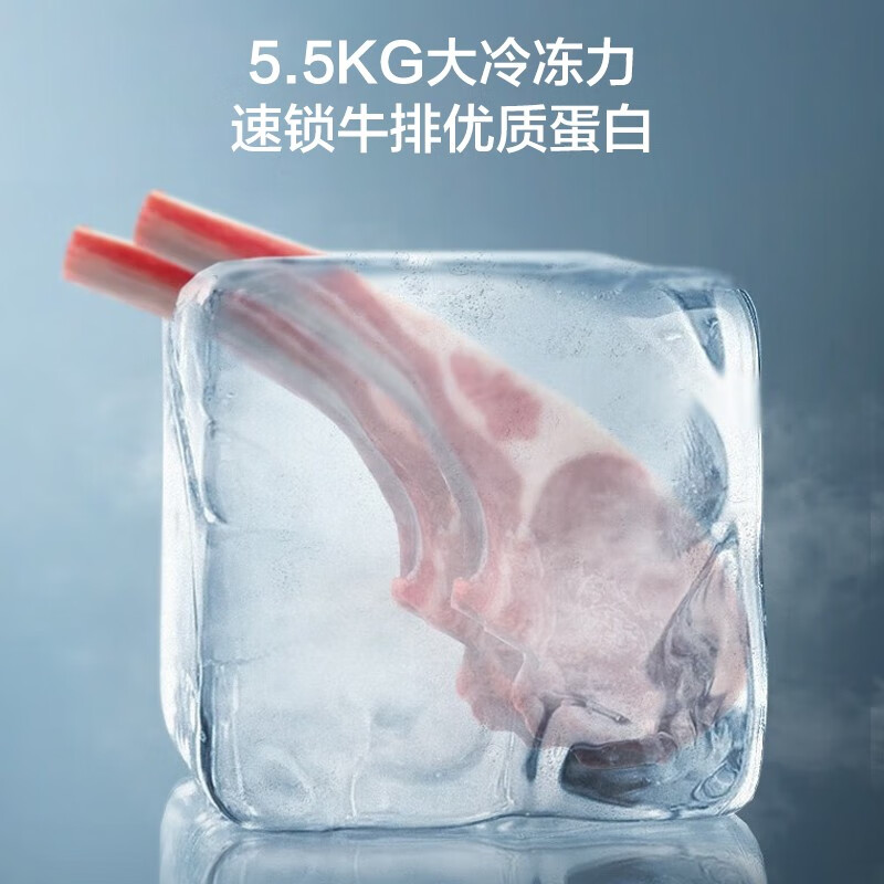 容声（Ronshen）158升立式冰柜家用冷藏冷冻柜商用保鲜柜冰箱风冷无霜除菌净味一级能效囤货无忧