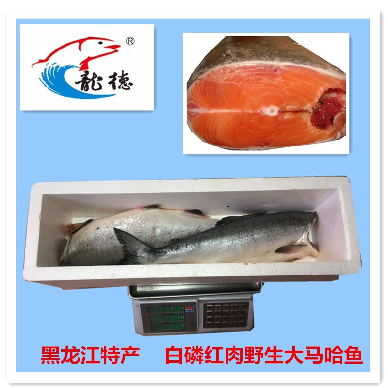 (去头去脏)黑龙江特产 冷水洄游鱼 冰鲜冷冻 冷冻大马哈鱼 去头去脏4