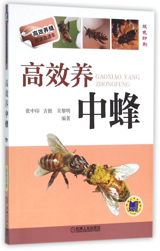 高效养中蜂(双色印刷)/高效养殖致富直通车