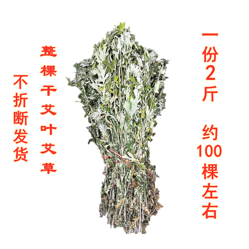 整棵艾草野生艾叶草端午晒干带杆茎洗泡脚洗澡家用女艾草叶 红色 草叶