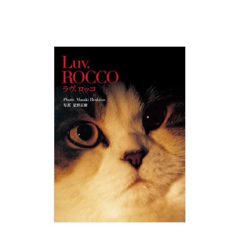 【现货】Luv.ROCCO爱猫洛可 星野正树摄影集书籍进口原版