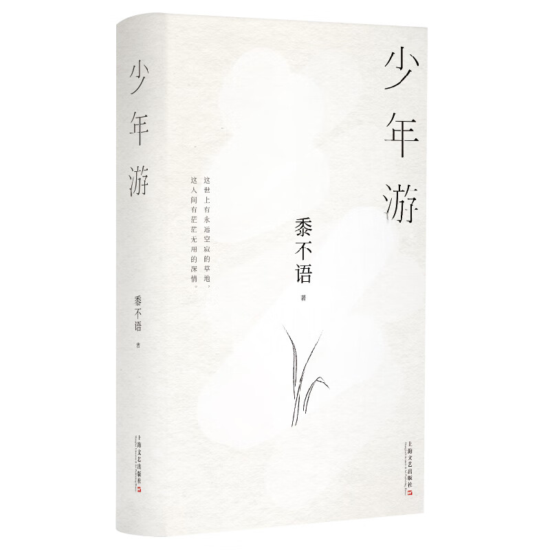 少年游