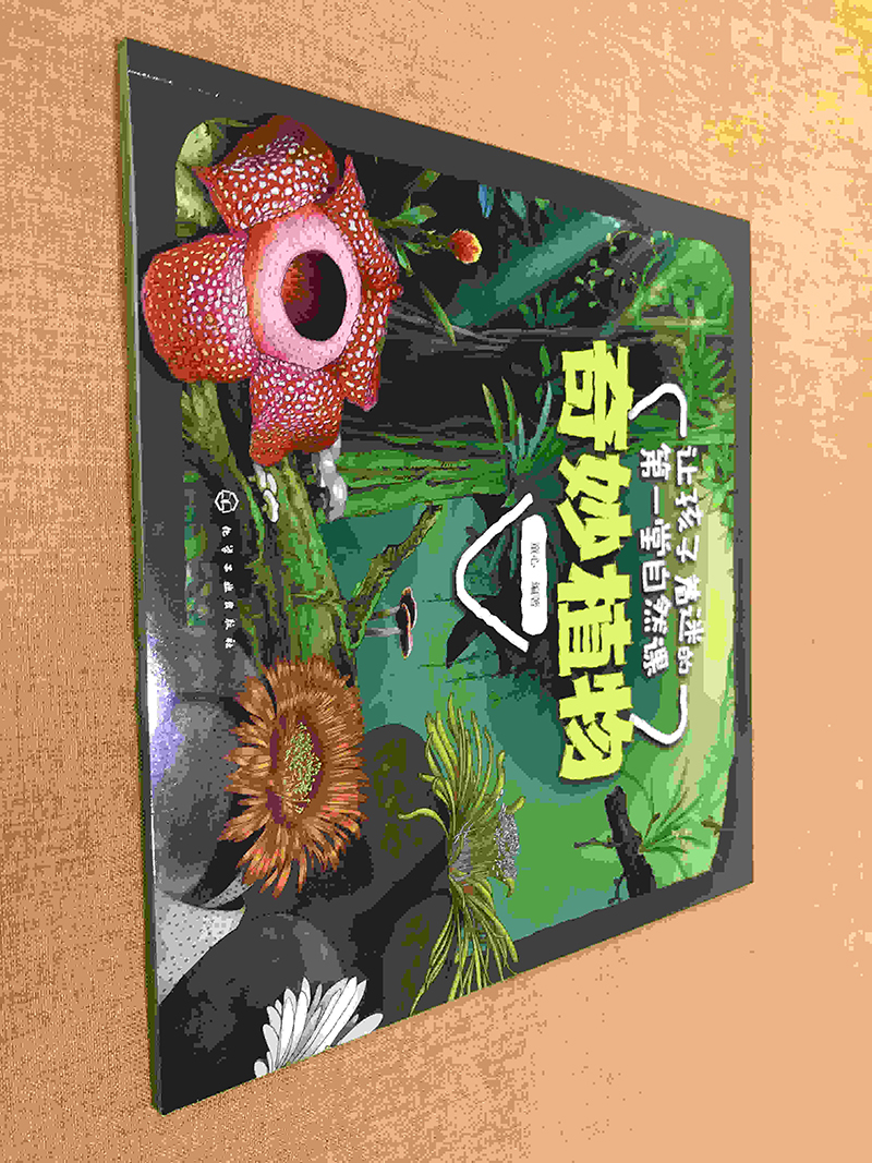 让孩子着迷的第一堂自然课——奇妙植物