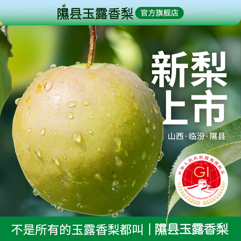 隰(xi)悦【顺丰】隰县玉露香梨水果孕妇甜梨生鲜山西隰县小西天特产送礼 9粒90mm+（净重7斤）