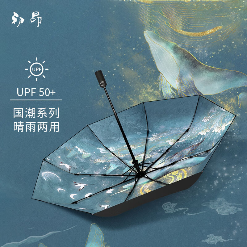 雨伞雨具历史价格怎么看|雨伞雨具价格走势图