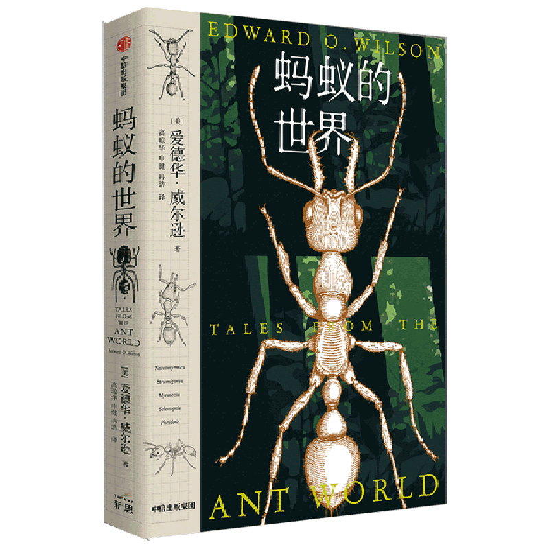 蚂蚁的世界(精)