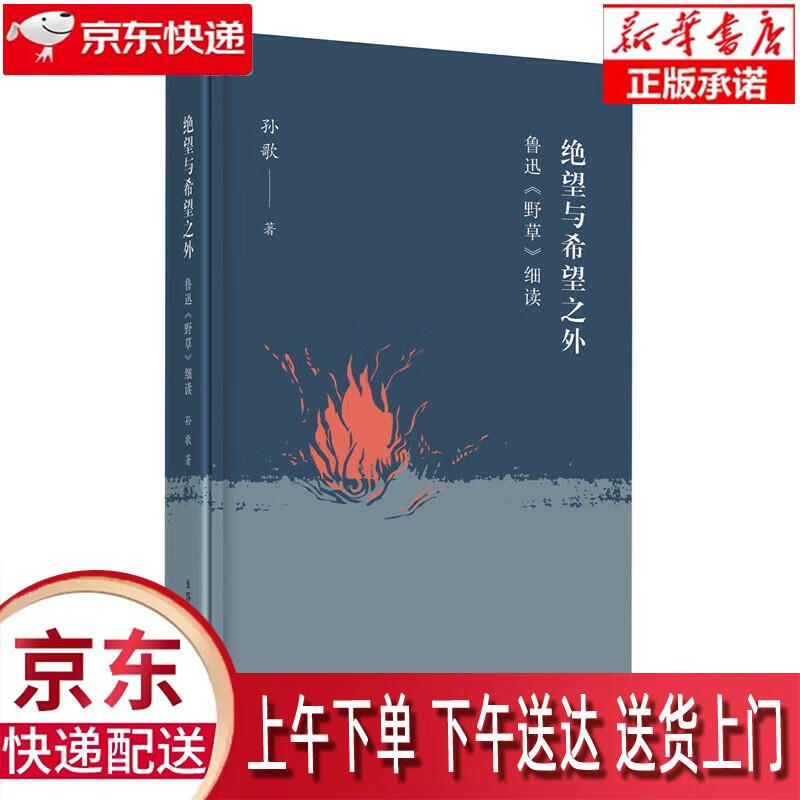 【新华畅销图书】绝望与希望之外:鲁迅《野