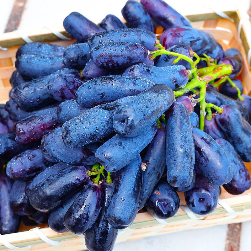 墨之瑶【京鲜配送】金手指葡萄 蓝宝石黑加伦提子 无籽生鲜团建送礼