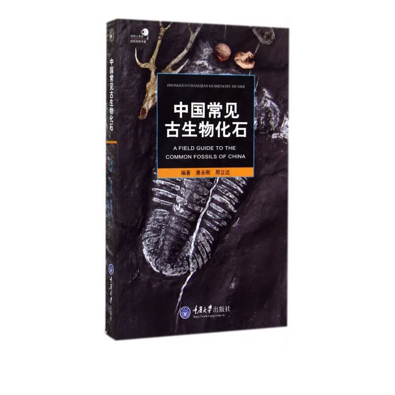 中国常见古生物化石/自然观察手册/好奇心书系