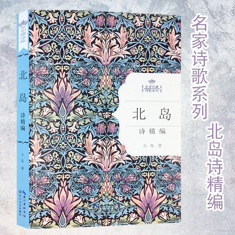 精装 名家经典诗歌系列 北岛诗歌北岛的诗朦胧派诗人代表诗集作品精选