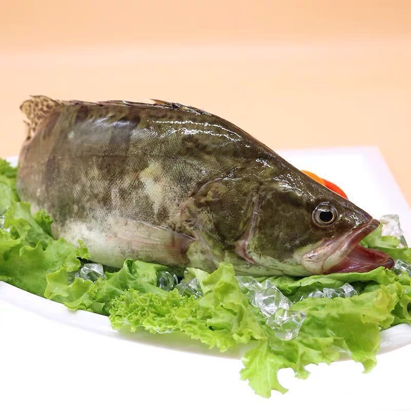 安峰山鳜鱼桂鱼桂花鱼季花鱼 海鲜水产(现杀)约15%损耗 1斤1条