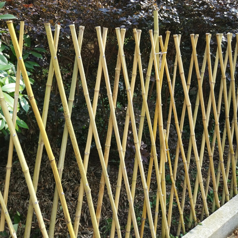 绿化伸缩竹竿花栏网竹栅栏围墙护栏装饰爬藤架 淡竹60厘米高*拉开长1