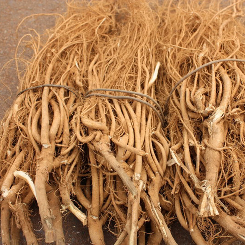 虎尾轮野外生500g土楼石参根清补煲汤料农家天然根新南靖特产福建 整
