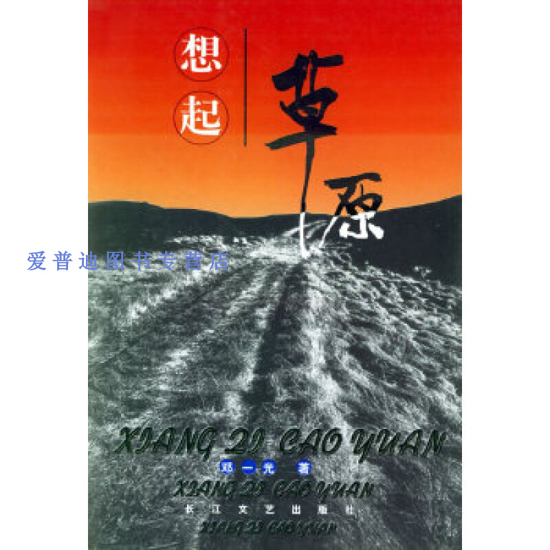 想起原 邓一光【正版书籍,畅读优品】