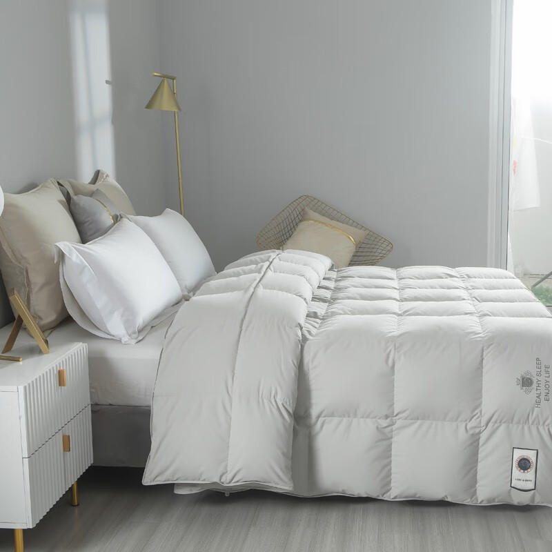 恒源祥被芯抗菌鹅绒被子白鹅绒保暖蓬松防钻绒秋冬四季羽绒被轻盈蓬松 波兰进口抗菌羽绒被-浅灰色 200*230cm 3.4斤【春秋被】