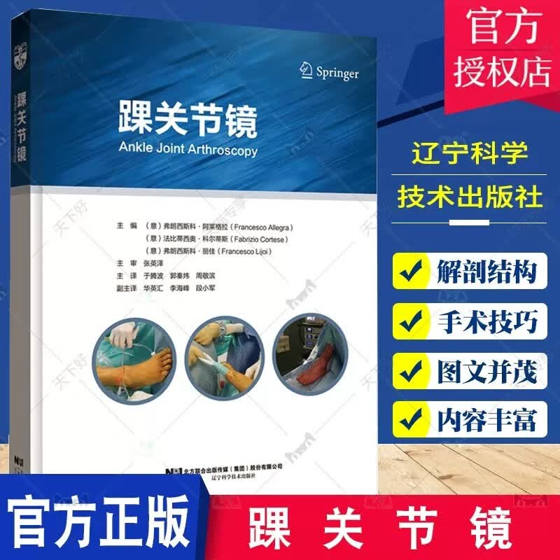 踝关节镜/骨性撞击病因分类治疗关节镜操作陷阱和技巧/踝关节软骨和骨软骨缺损病因分类治疗/于腾波等/辽宁科学技术出版社