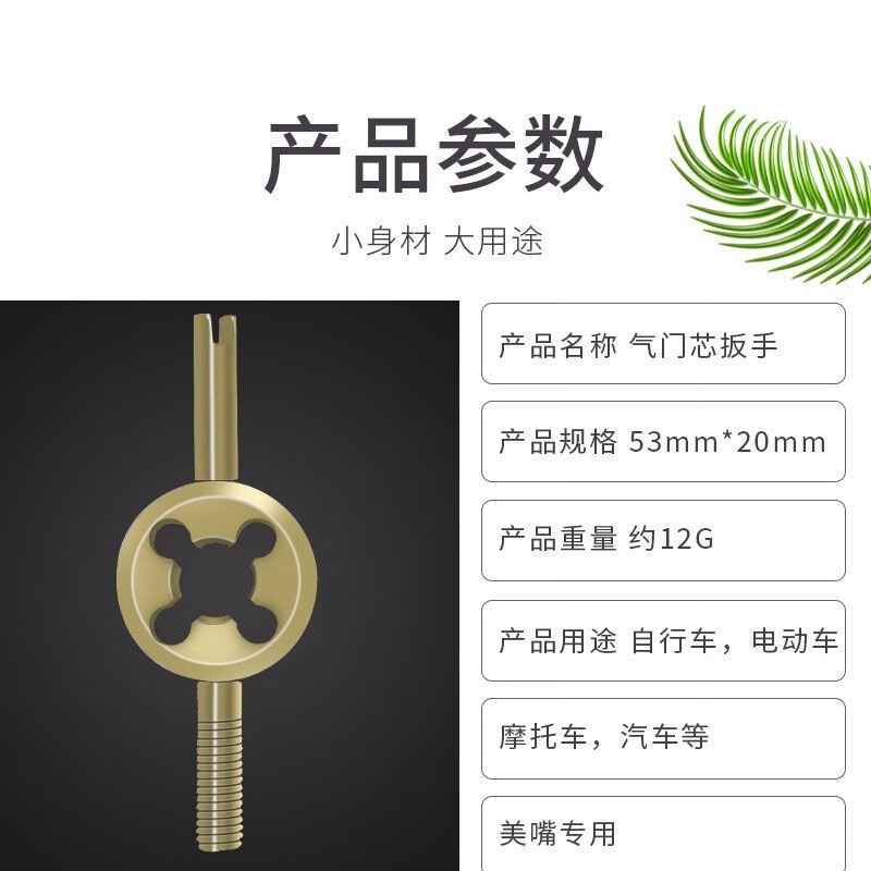 自行车气门芯扳手多功能气门嘴气针汽车摩托车轮胎美嘴气嘴扳手轮胎内胎工具扳手 气门板手【10个】+10条气门芯管