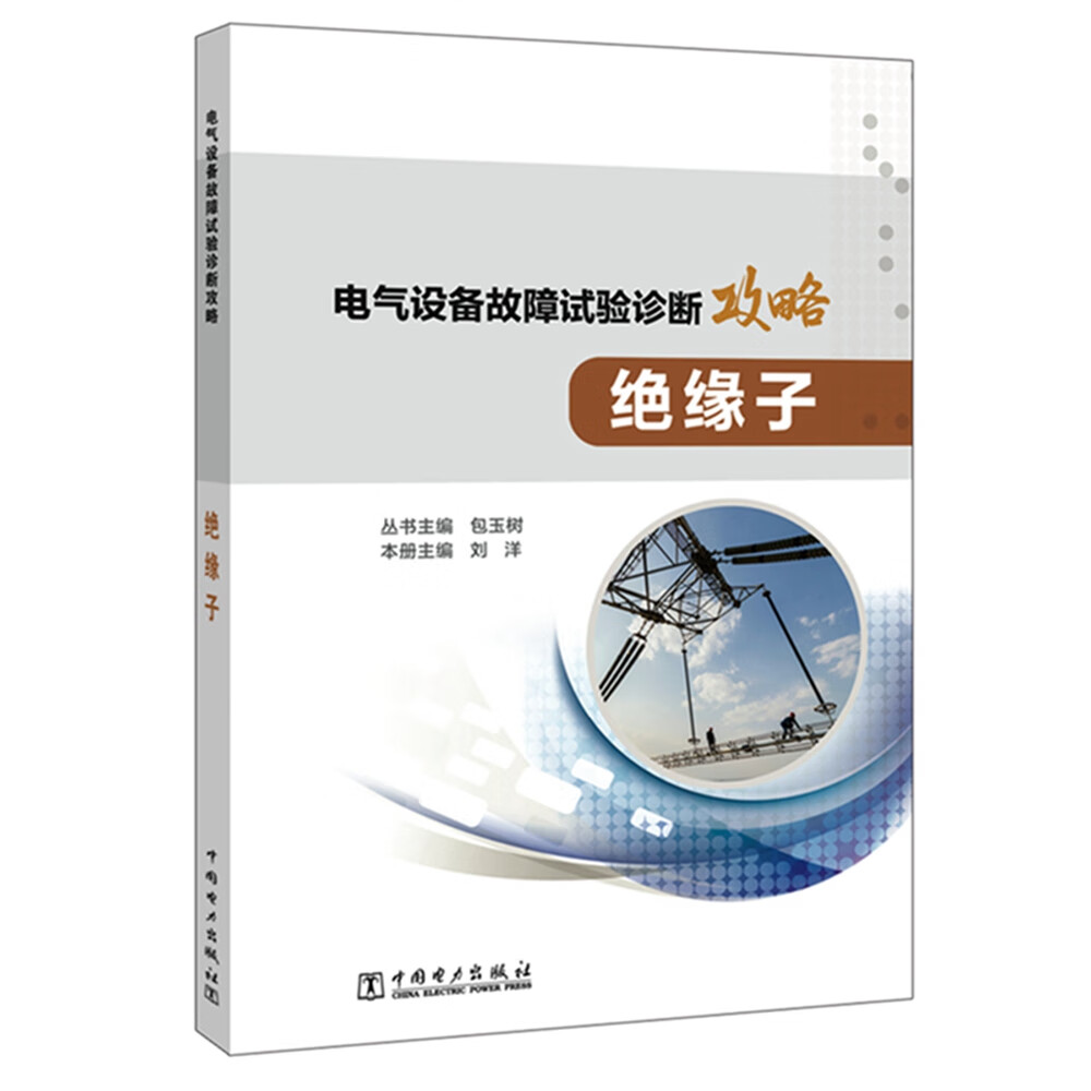 电气设备故障试验诊断攻略 绝缘子