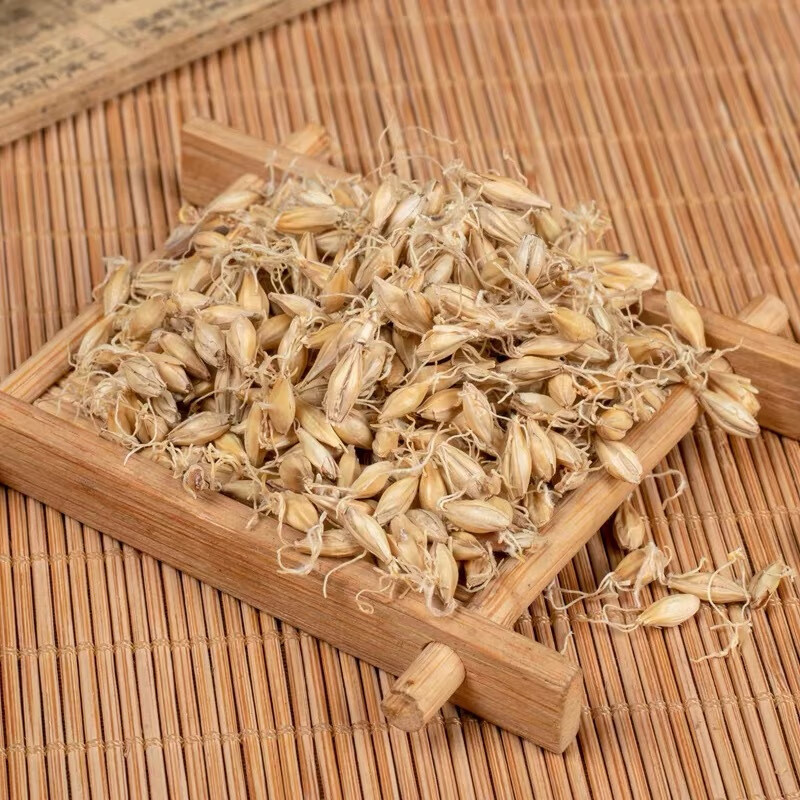 北京同仁堂生麦芽中药材500g克大麦芽泡水麦芽大麦毛草大麦谷芽中草药