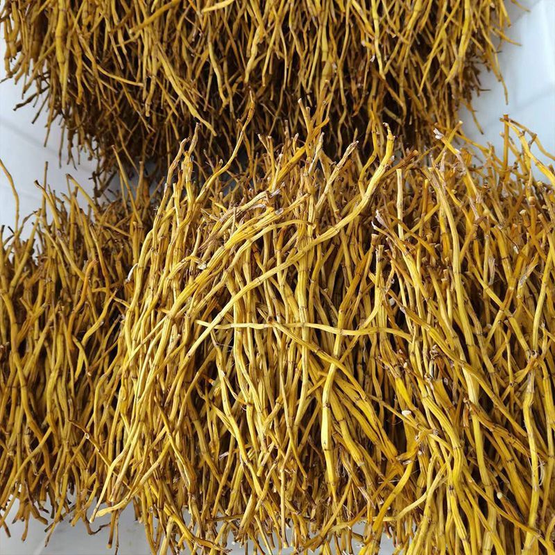 正宗赤水金钗石斛干条粉冻干花条养生石斛茶金钗石斛中药材切断片