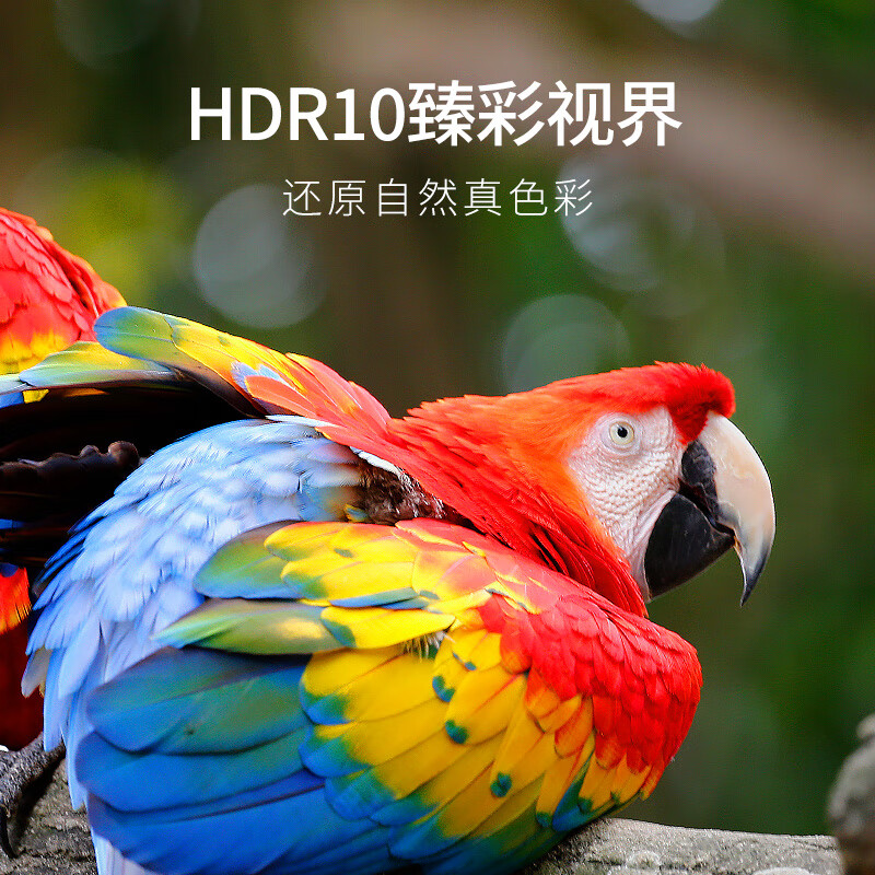 腾讯极光盒子6SE 电视盒子网络机顶盒 4K高清 全志H618芯片 HDR10 手机无线投屏 带网口