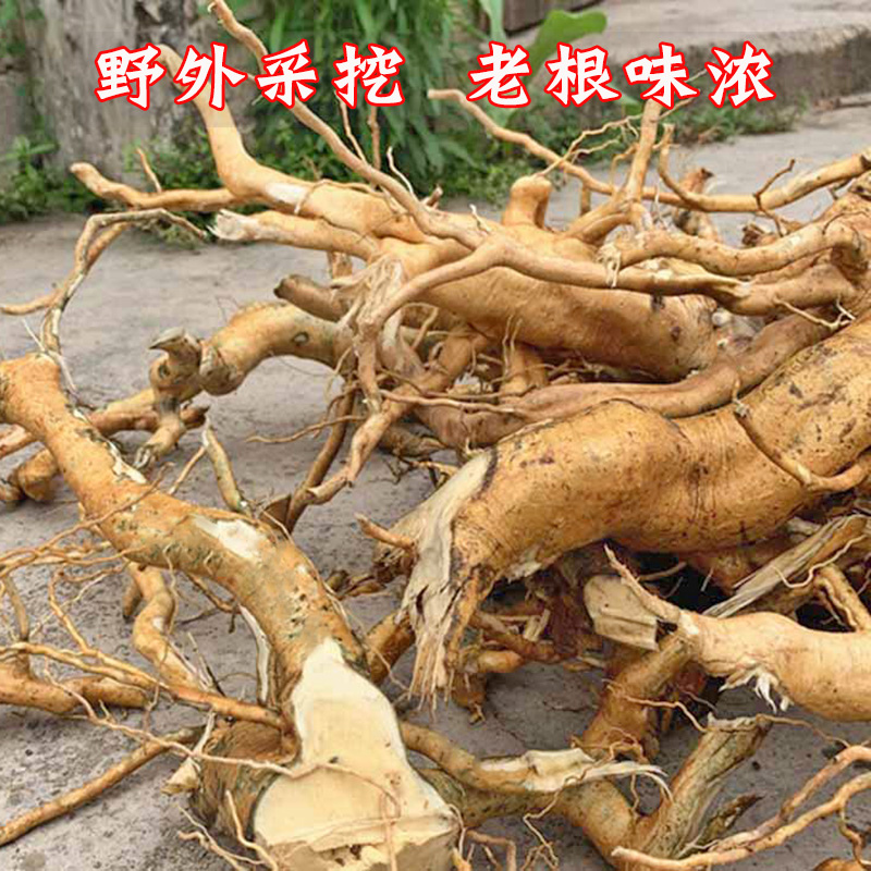 天星木根中材岗梅根白点秤秤星木百解根广西七星山梅根500g泉韵