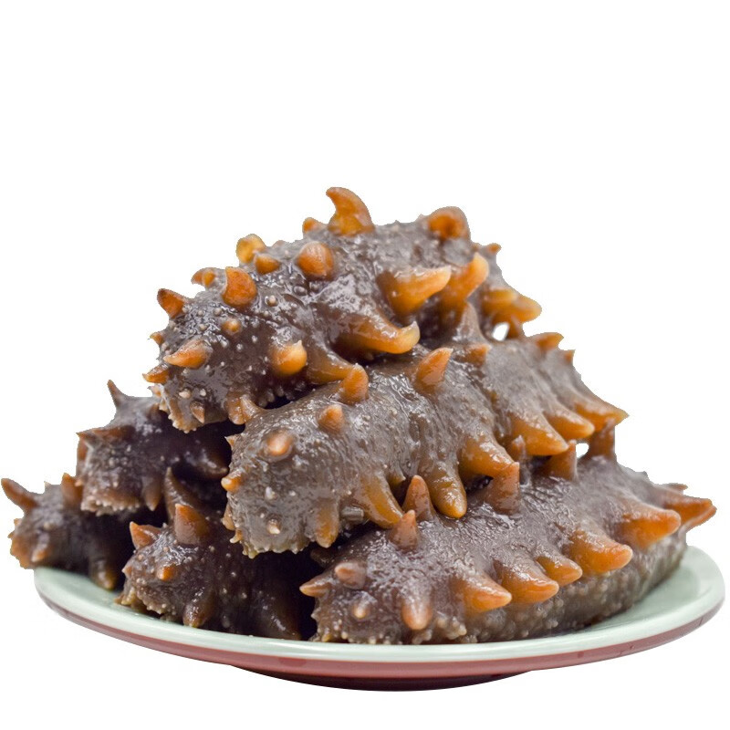 神礁岛 大连即食海参 辽刺参 深海底播 海鲜水产 1000g20-30只 礼盒装