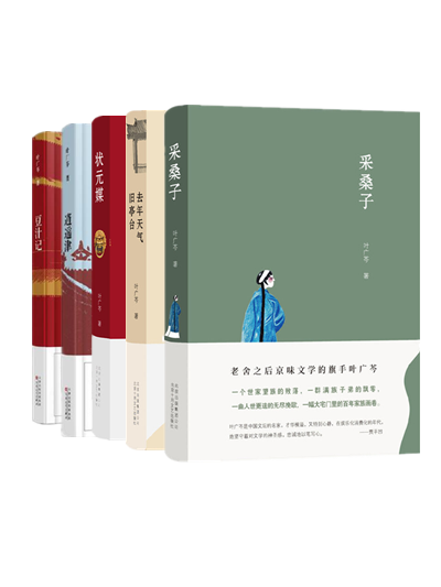 叶广芩作品(全5册)采桑子 去年天气旧亭台 状元媒 逍遥津 豆汁记