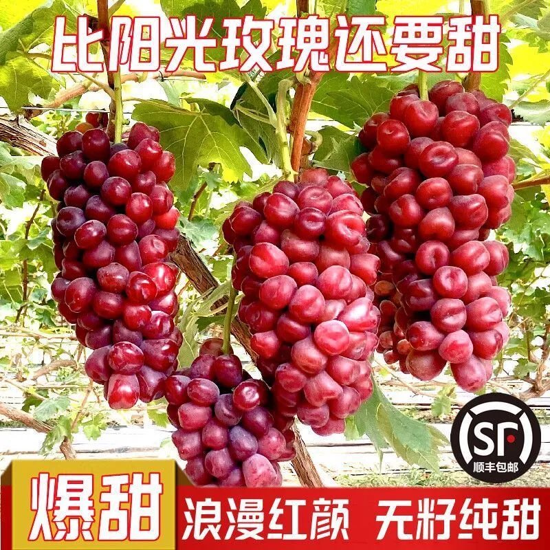 浪漫红颜葡萄心型葡萄爱心水果新鲜无籽提子小孩水果 净重2斤 精选果