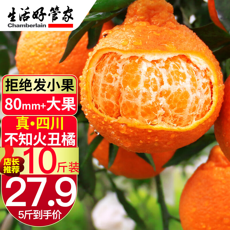 桔橘京东历史价格|桔橘价格比较