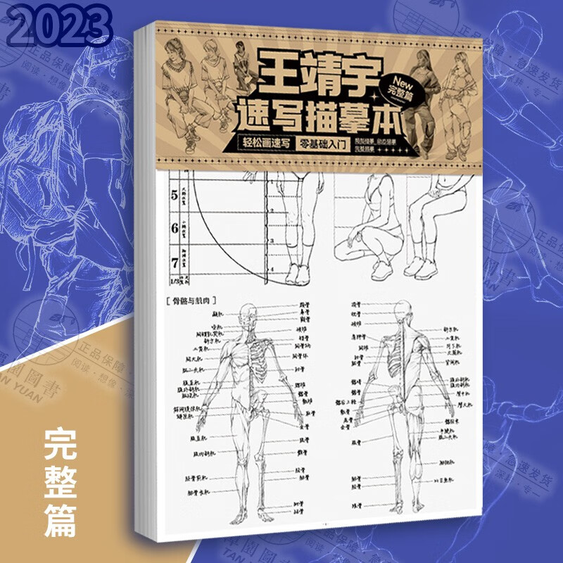 速写基础教程王靖宇2023速写描摹本美术