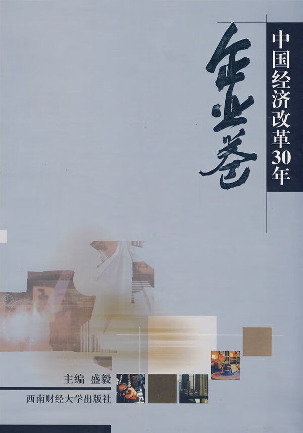 中国经济改革30年:企业卷 经济 书籍