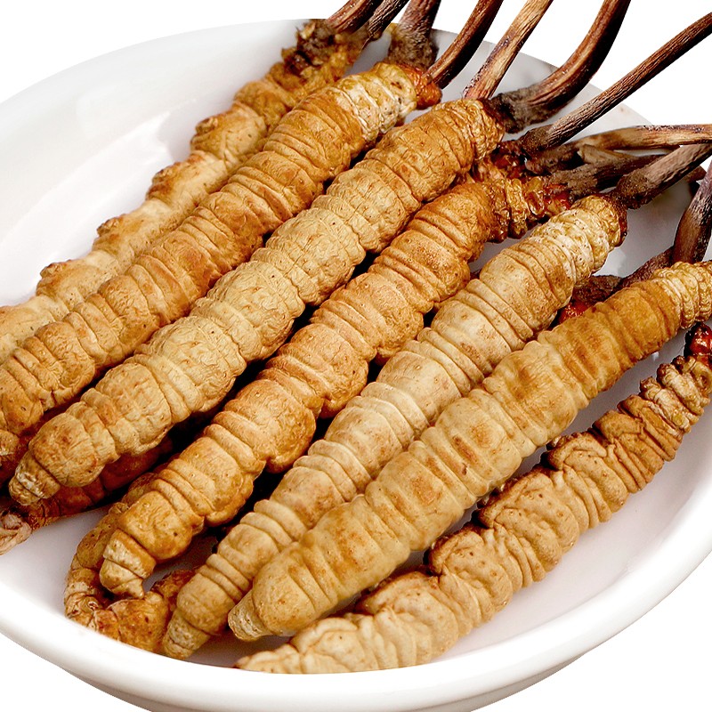 福东海冬虫夏草价格趋势解析,尝遍知名美食家一致赞叹