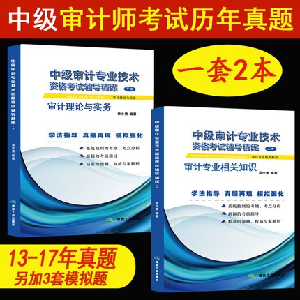 备考2023年中级审计师辅导精练历年真题与模拟试题及详解 审计专业相关知识+审计理论与实务 套装2册