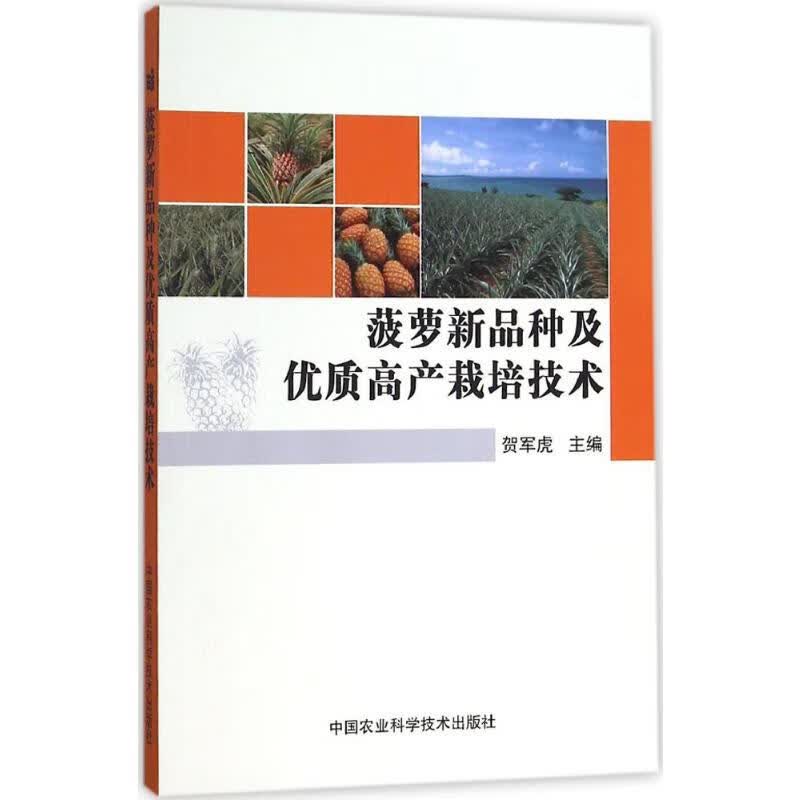 菠萝新品种及优质高产栽培技术
