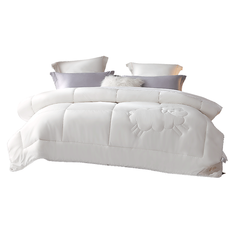 ˮ�Ǽҷ� ������ë�� �ļ������ﶬ�� 220cm*240cm 264Ԫ(����ȯ)